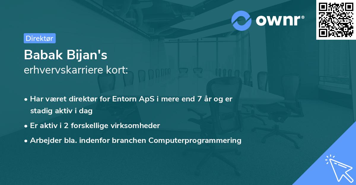 Babak Bijan's erhvervskarriere kort