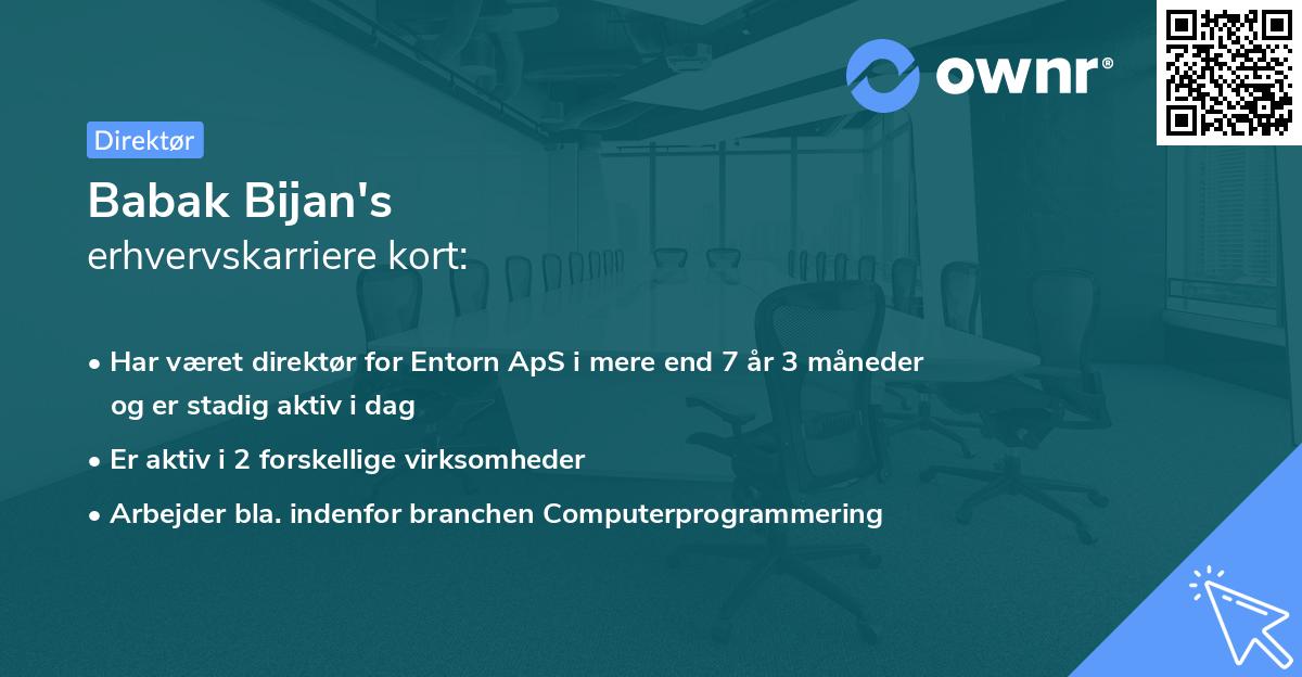 Babak Bijan's erhvervskarriere kort