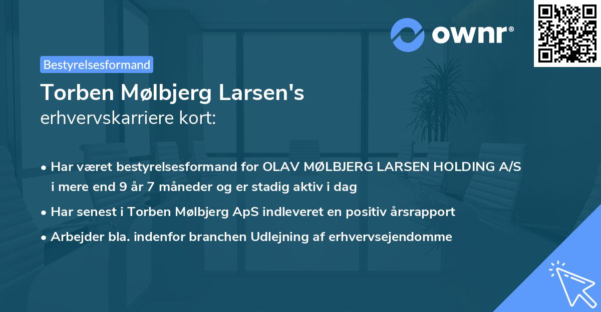 Torben Mølbjerg Larsen's erhvervskarriere kort