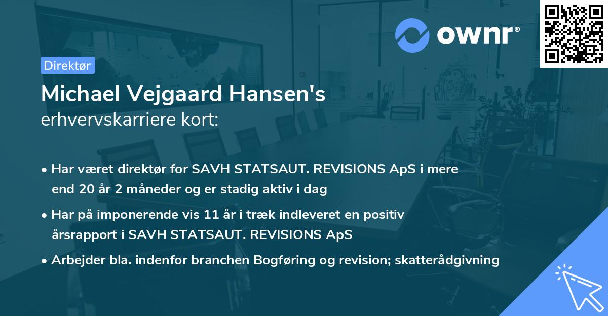 Michael Vejgaard Hansen's erhvervskarriere kort
