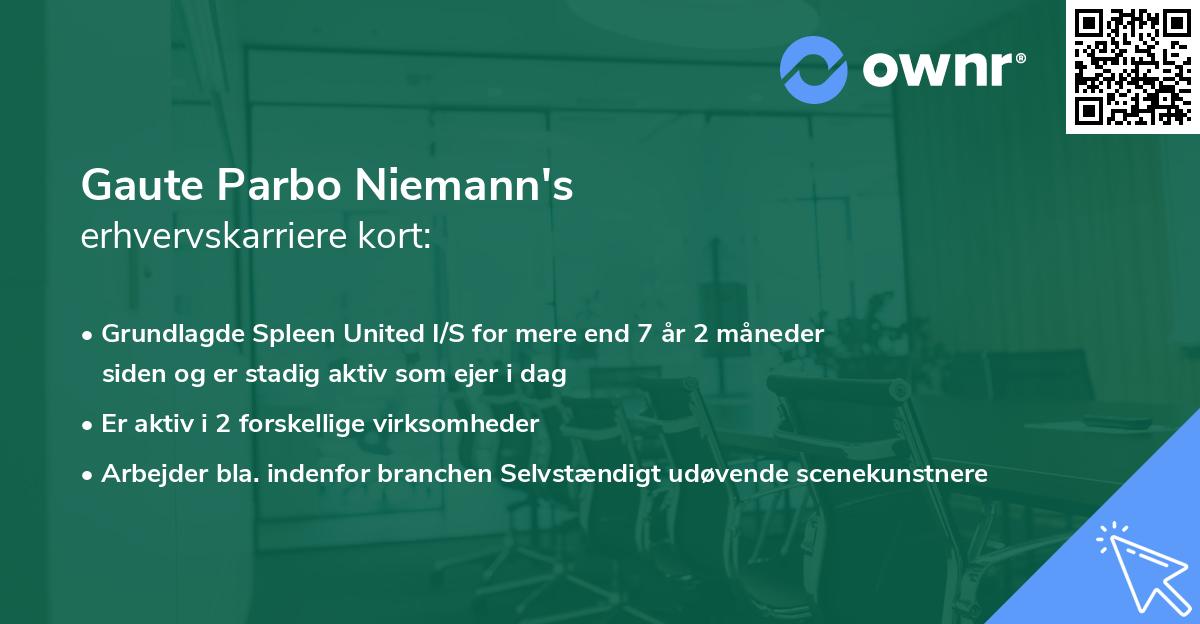 Gaute Parbo Niemann's erhvervskarriere kort