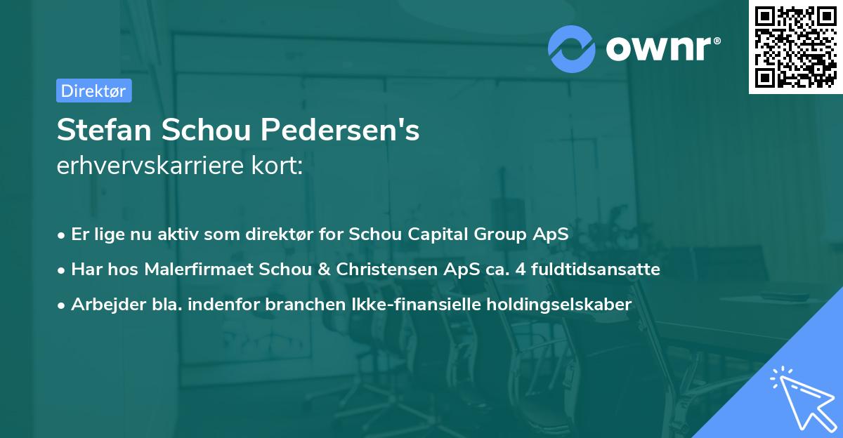 Stefan Schou Pedersen's erhvervskarriere kort