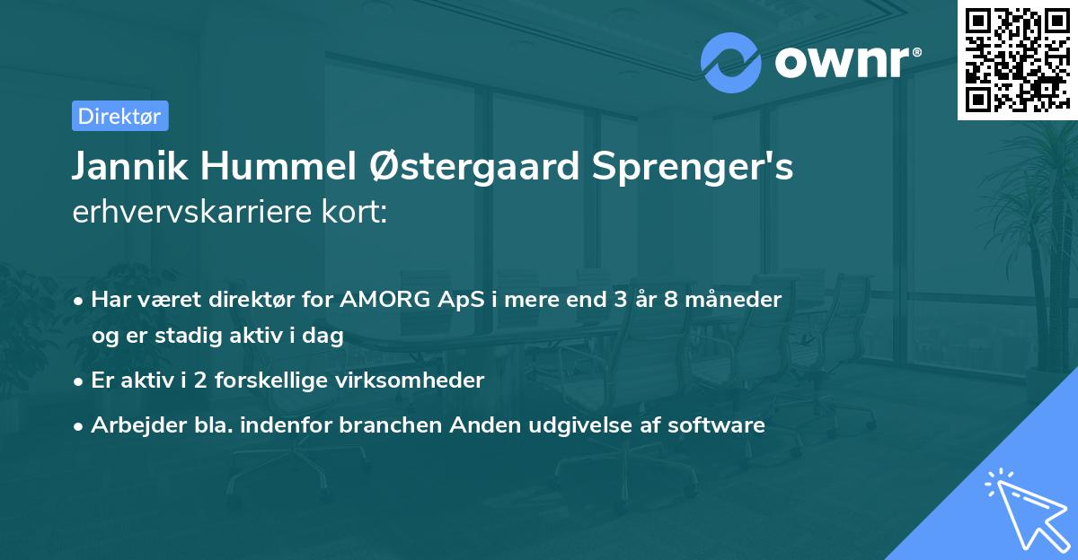 Jannik Hummel Østergaard Sprenger's erhvervskarriere kort