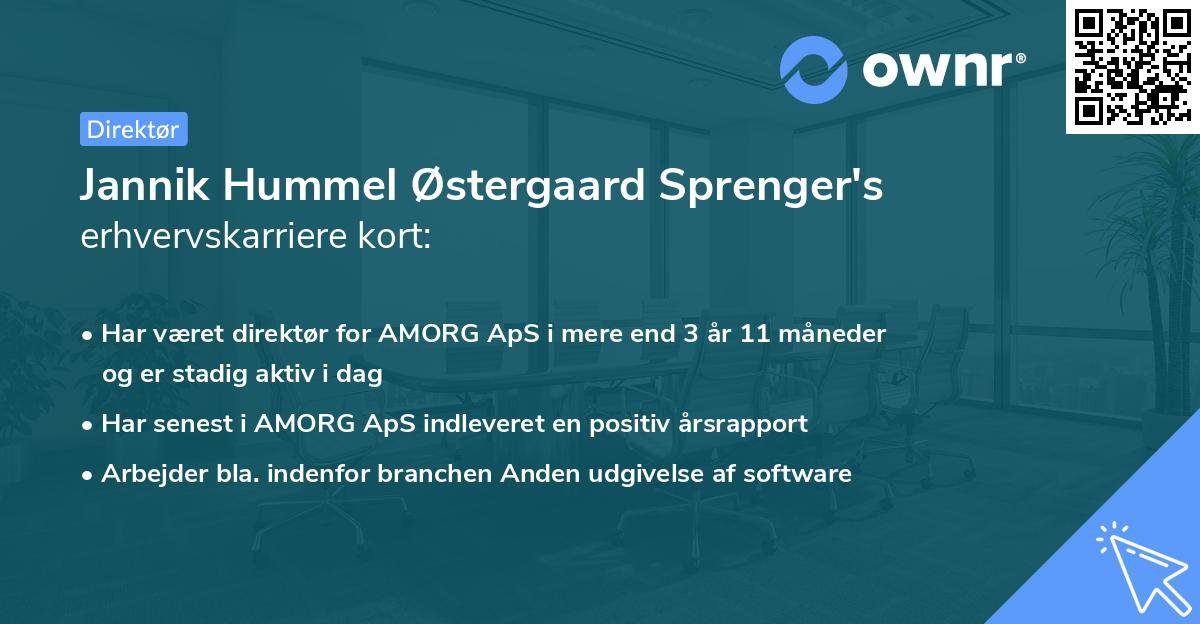 Jannik Hummel Østergaard Sprenger's erhvervskarriere kort