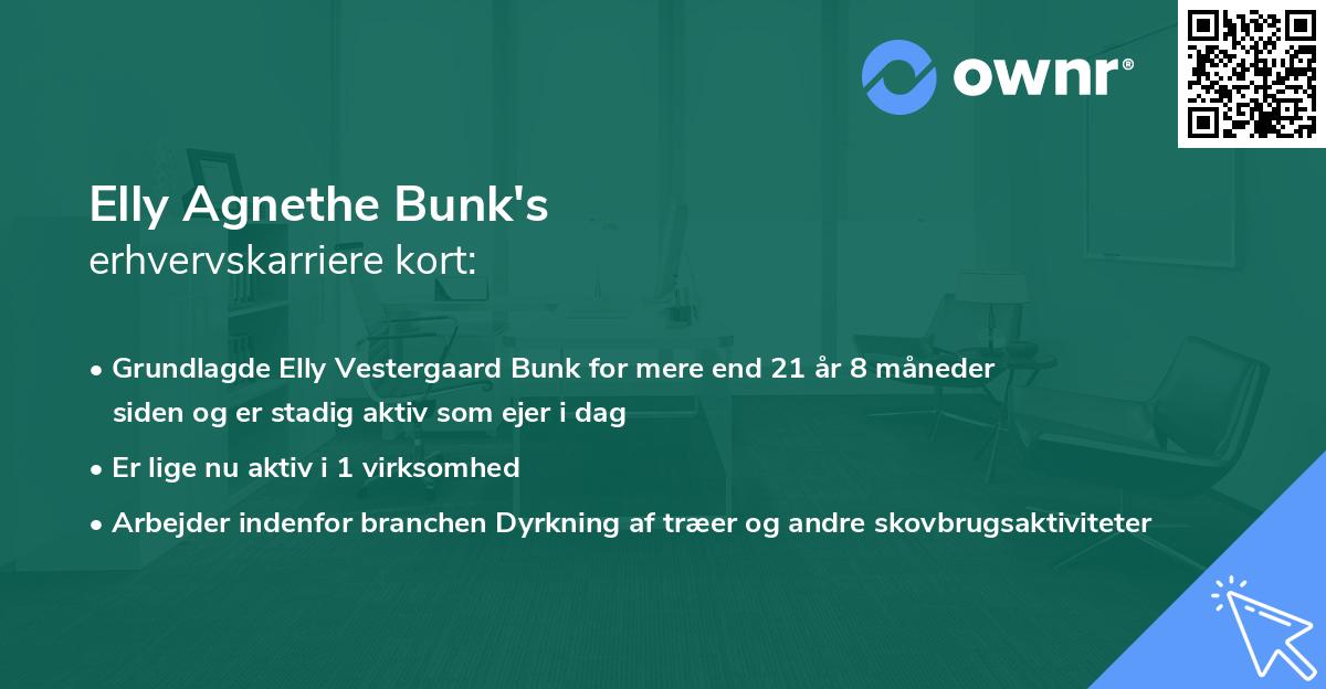 Elly Agnethe Bunk's erhvervskarriere kort