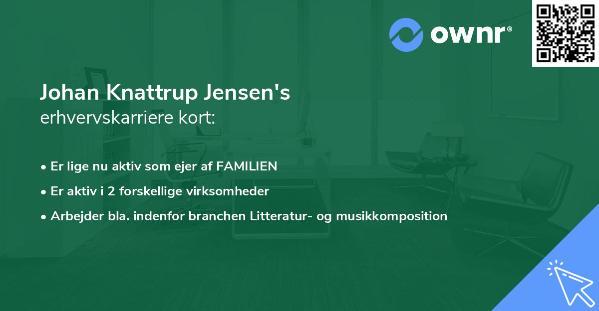 Johan Knattrup Jensen's erhvervskarriere kort