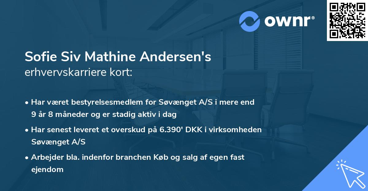 Sofie Siv Mathine Andersen's erhvervskarriere kort