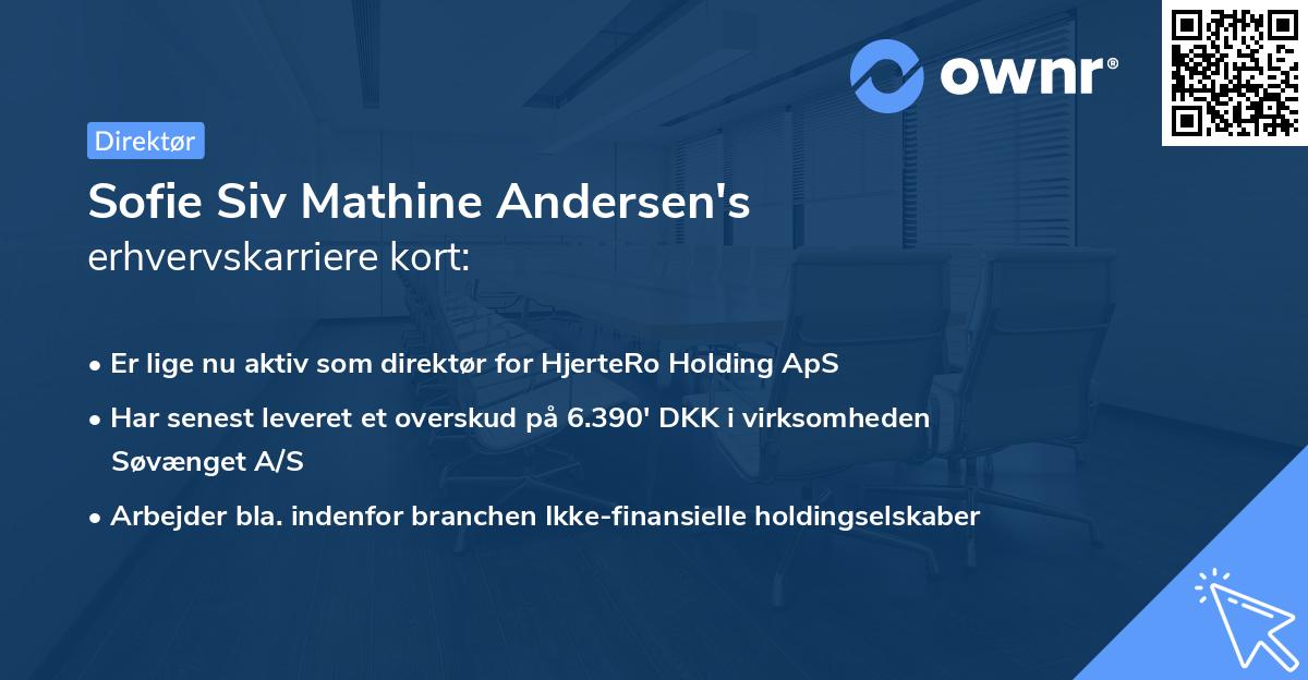 Sofie Siv Mathine Andersen's erhvervskarriere kort