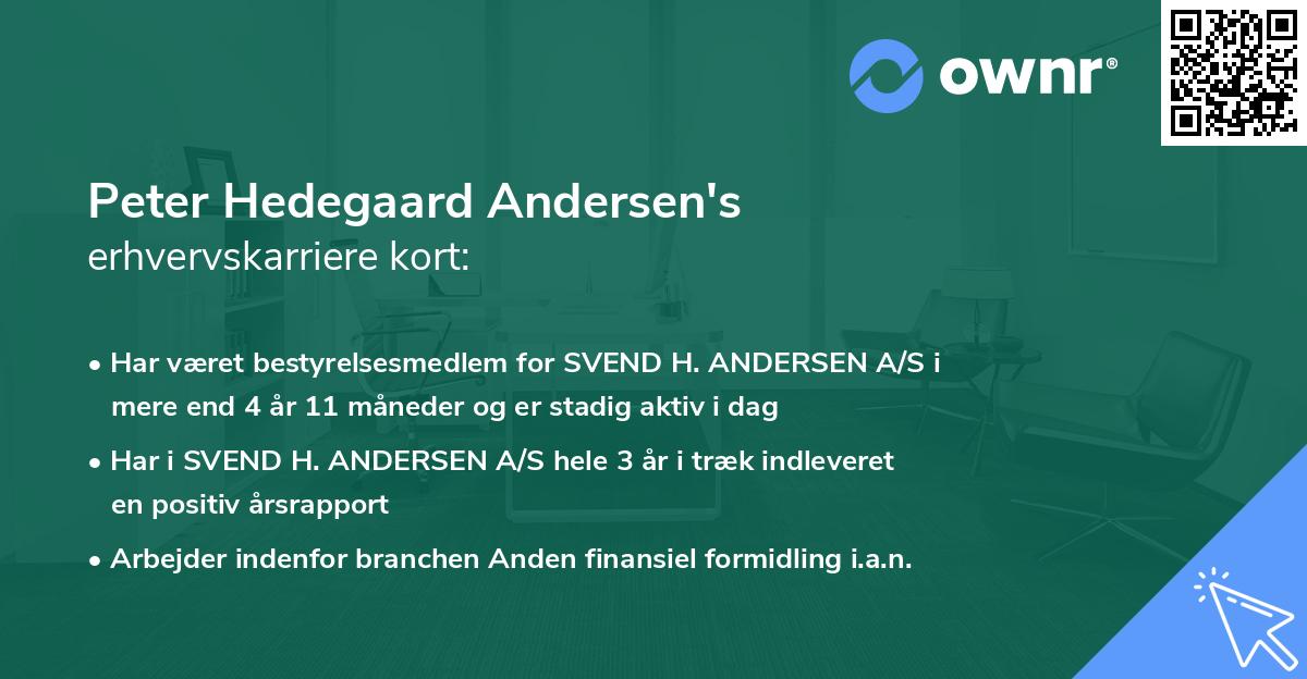 Peter Hedegaard Andersen's erhvervskarriere kort