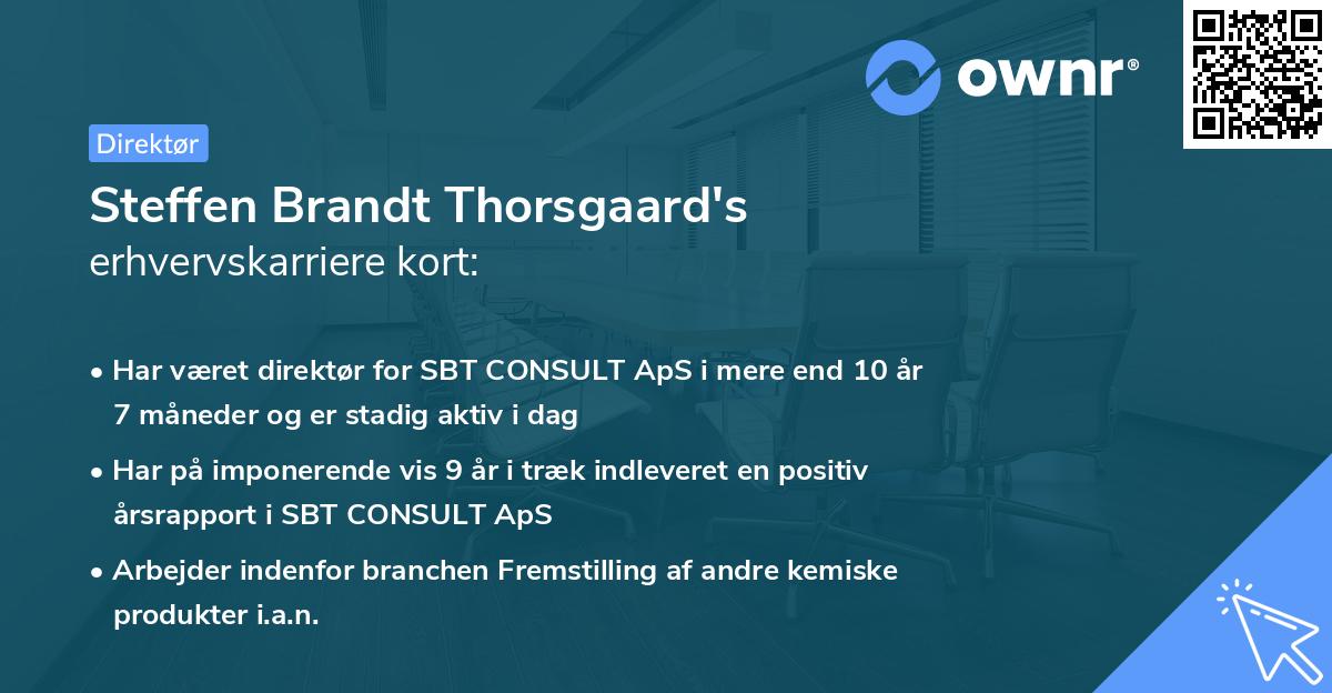 Steffen Brandt Thorsgaard's erhvervskarriere kort