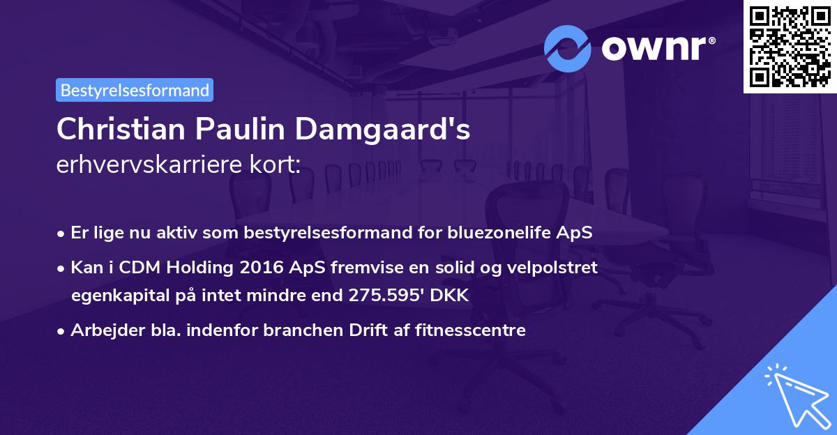 Christian Paulin Damgaard's erhvervskarriere kort