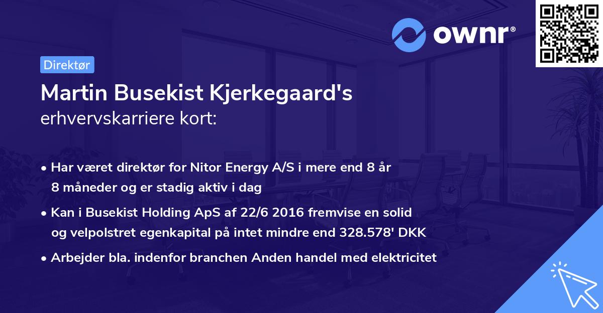 Martin Busekist Kjerkegaard's erhvervskarriere kort
