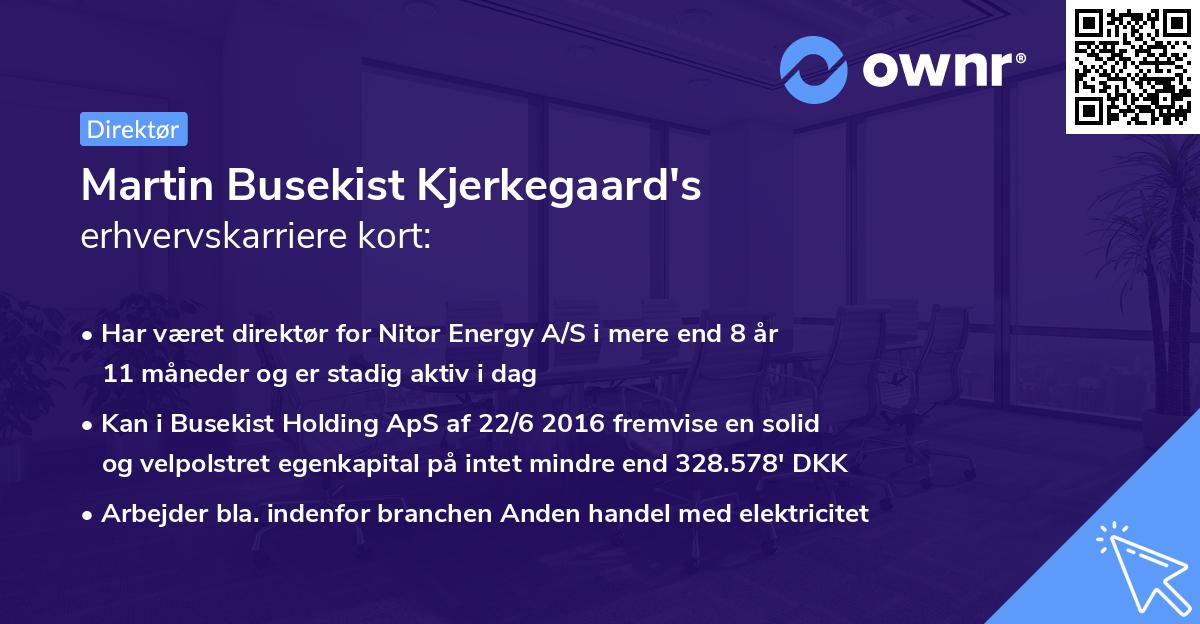 Martin Busekist Kjerkegaard's erhvervskarriere kort