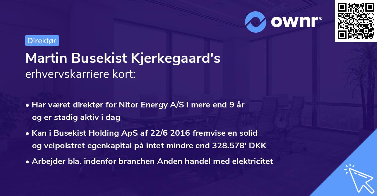 Martin Busekist Kjerkegaard's erhvervskarriere kort