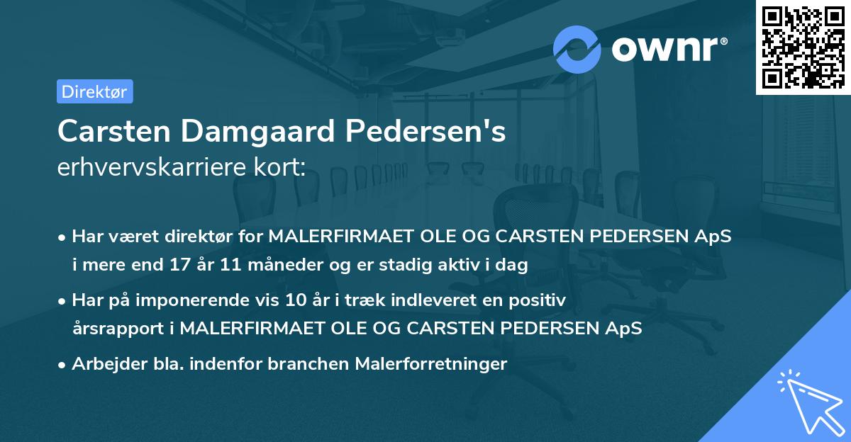 Carsten Damgaard Pedersen's erhvervskarriere kort