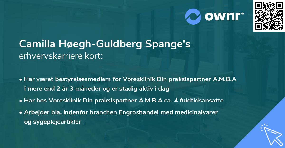 Camilla Høegh-Guldberg Spange's erhvervskarriere kort