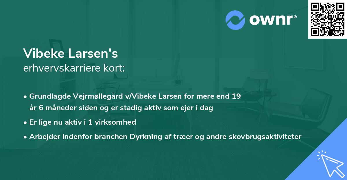 Vibeke Larsen's erhvervskarriere kort