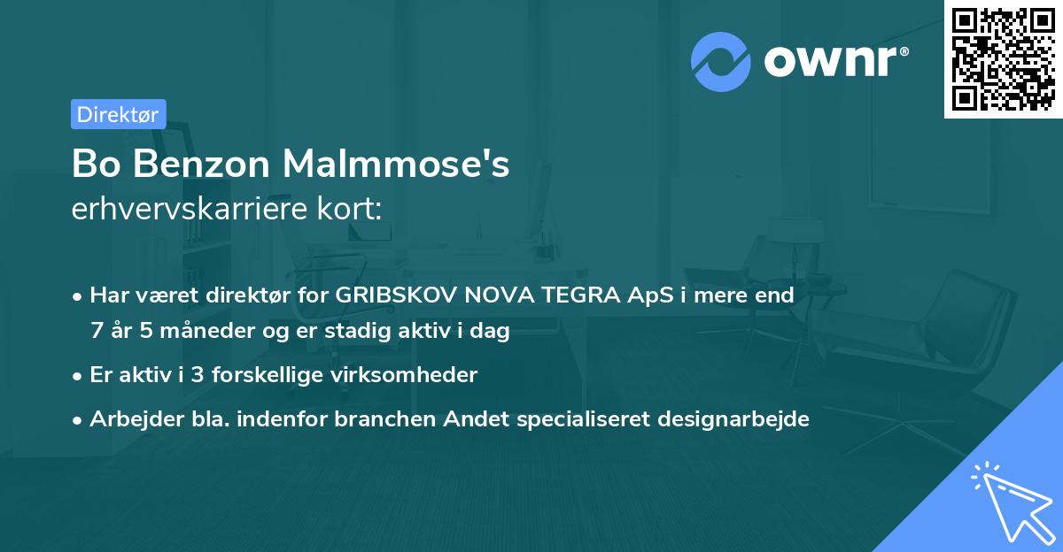Bo Benzon Malmmose's erhvervskarriere kort
