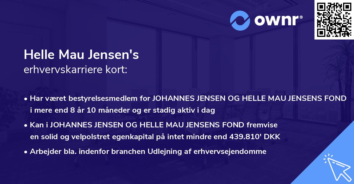 Helle Mau Jensen's erhvervskarriere kort