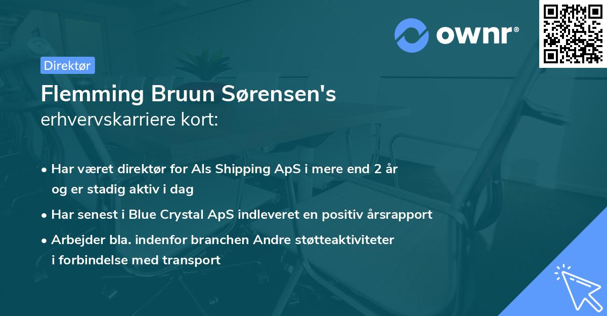 Flemming Bruun Sørensen's erhvervskarriere kort