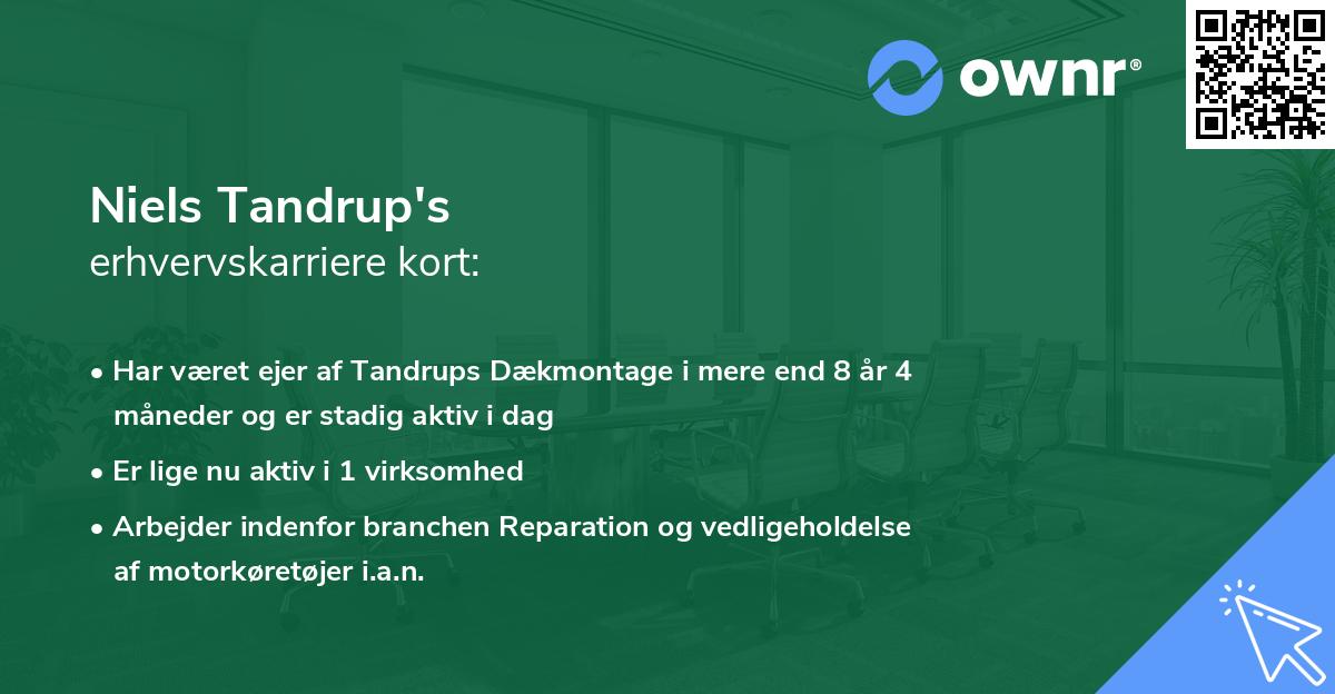 Niels Tandrup's erhvervskarriere kort
