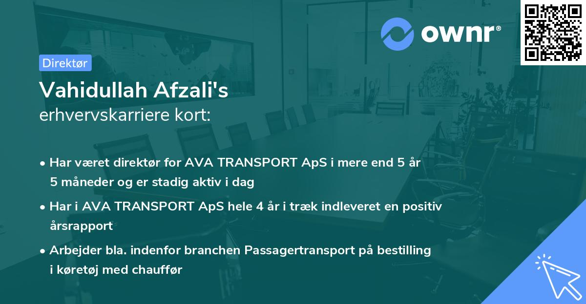 Vahidullah Afzali's erhvervskarriere kort