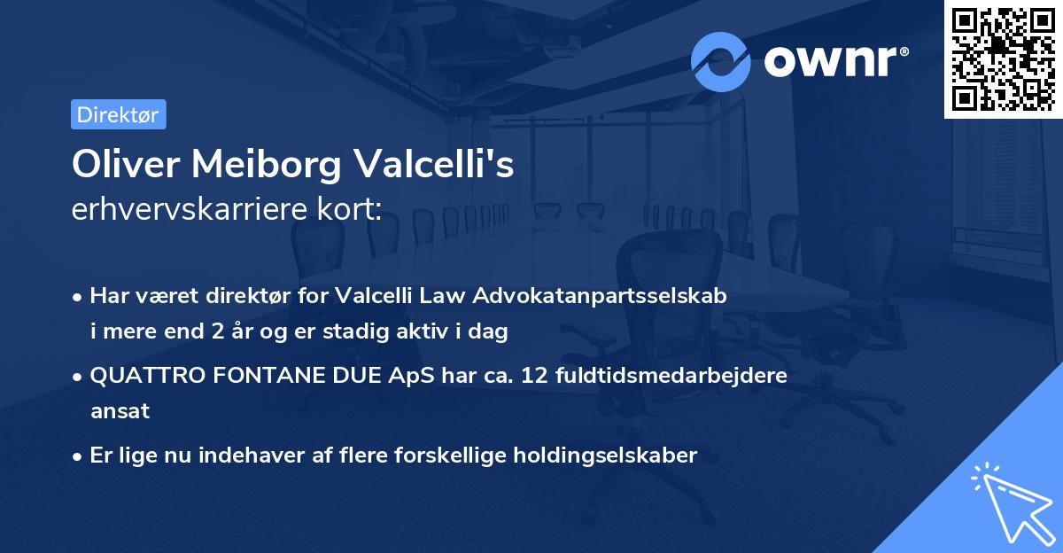 Oliver Meiborg Valcelli's erhvervskarriere kort