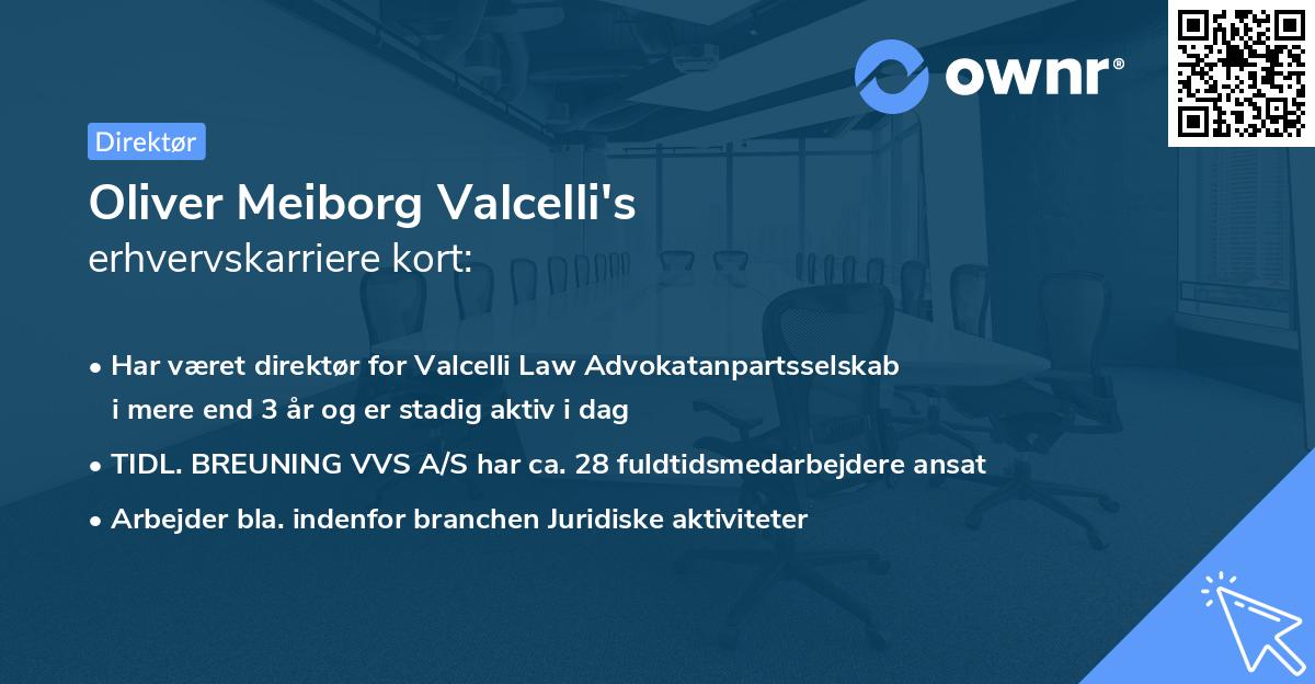 Oliver Meiborg Valcelli's erhvervskarriere kort