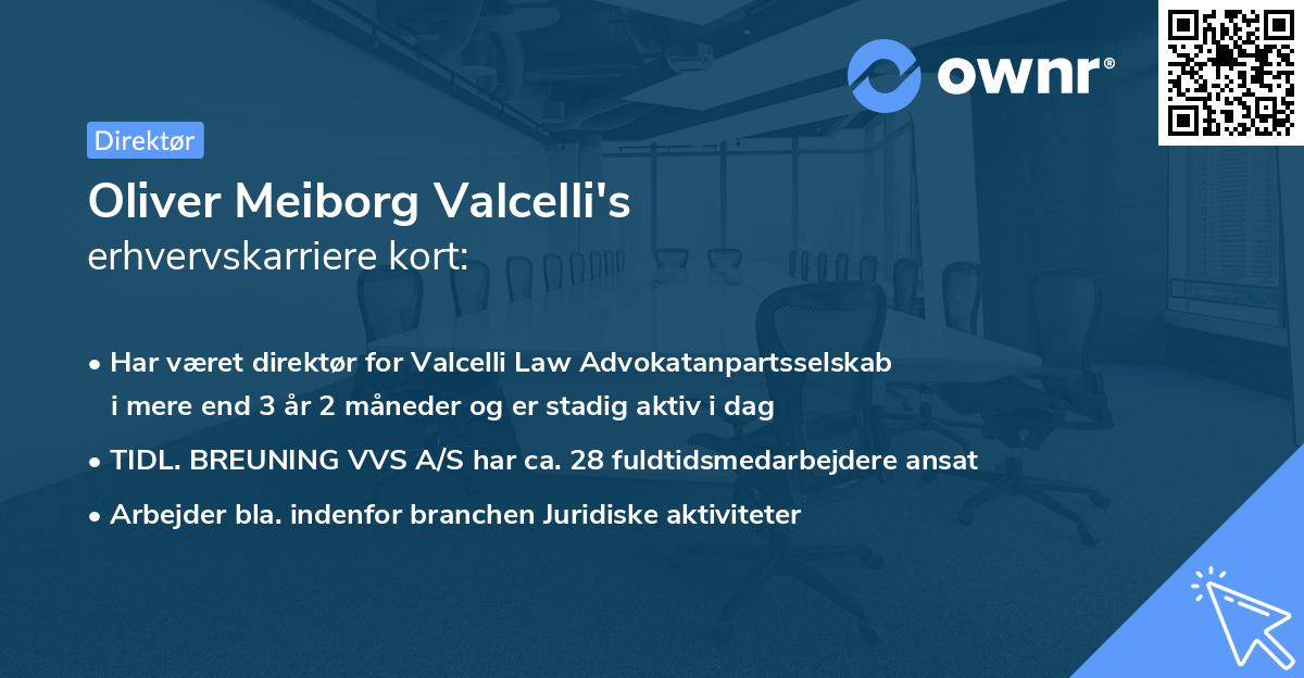 Oliver Meiborg Valcelli's erhvervskarriere kort