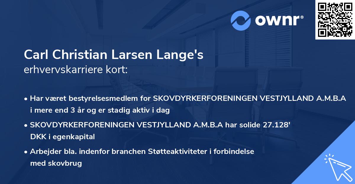 Carl Christian Larsen Lange's erhvervskarriere kort