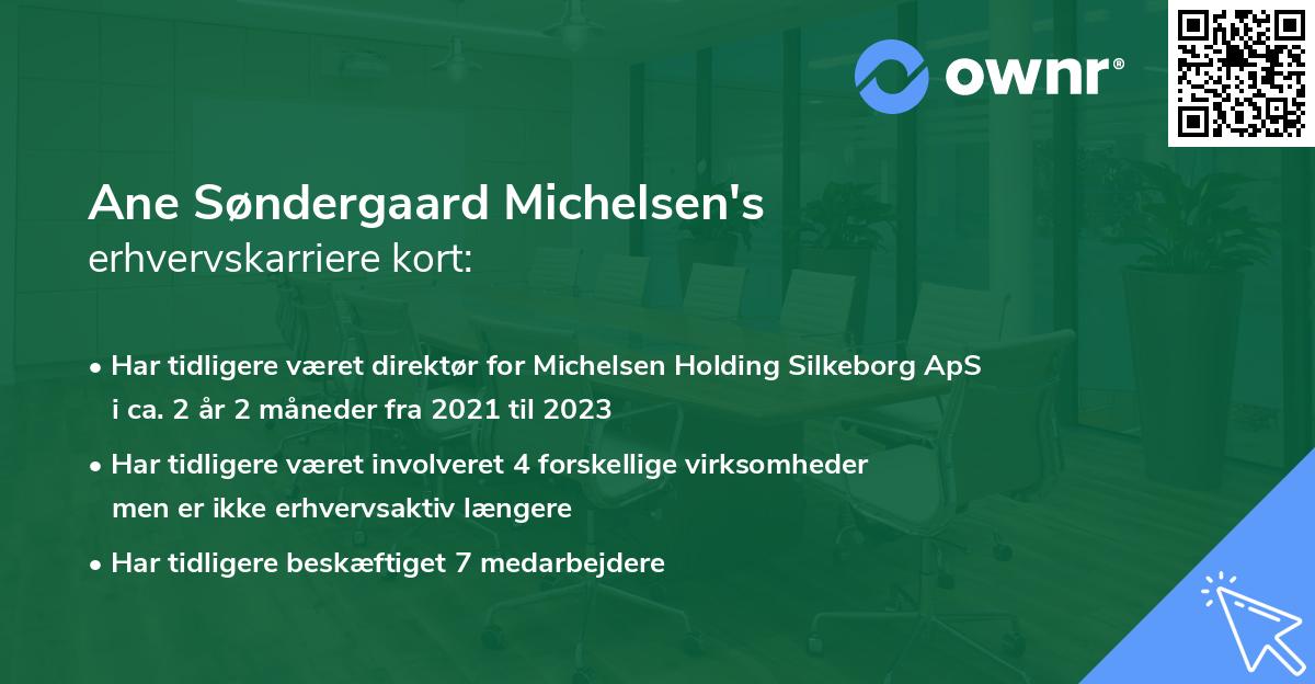 Ane Søndergaard Michelsen's erhvervskarriere kort