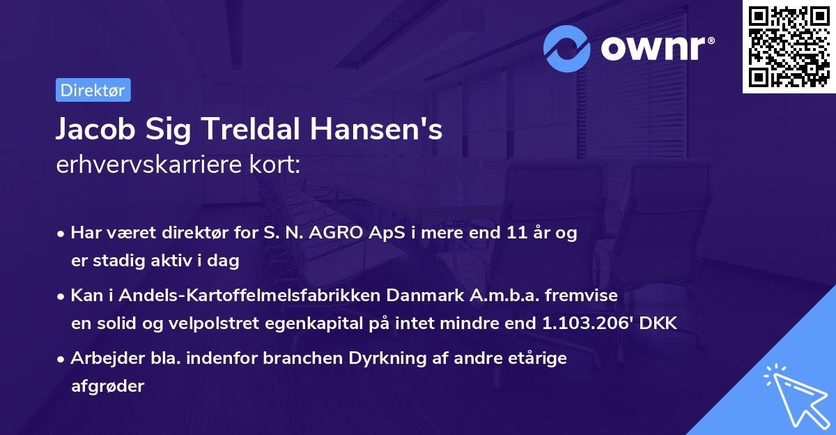 Jacob Sig Treldal Hansen's erhvervskarriere kort