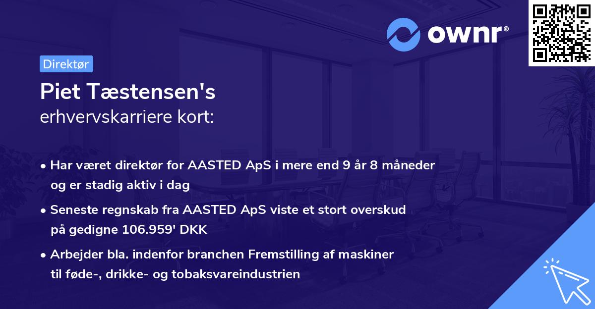 Piet Tæstensen's erhvervskarriere kort