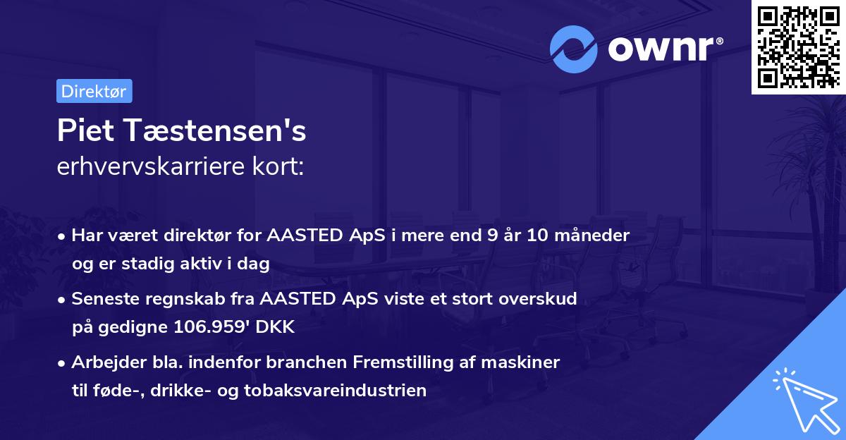 Piet Tæstensen's erhvervskarriere kort