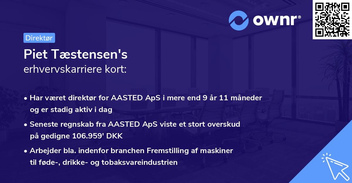 Piet Tæstensen's erhvervskarriere kort