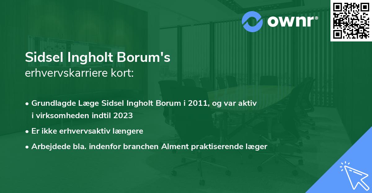 Sidsel Ingholt Borum's erhvervskarriere kort