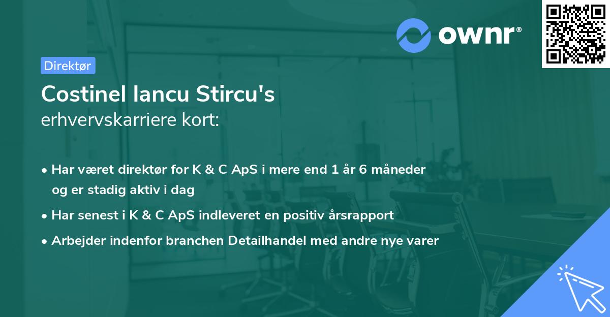 Costinel Iancu Stircu's erhvervskarriere kort