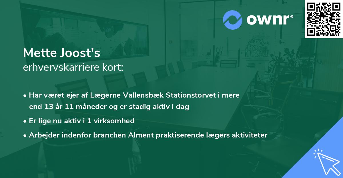 Mette Joost's erhvervskarriere kort