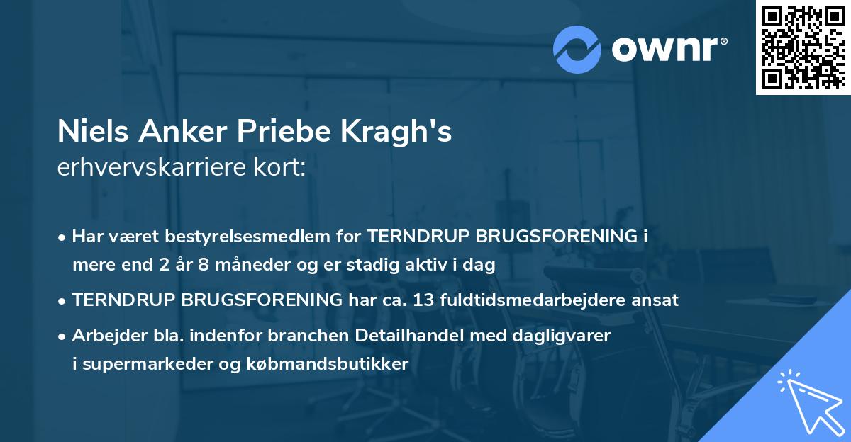 Niels Anker Priebe Kragh's erhvervskarriere kort