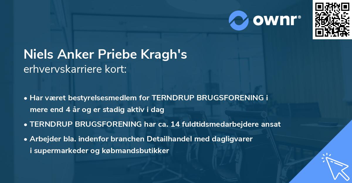 Niels Anker Priebe Kragh's erhvervskarriere kort