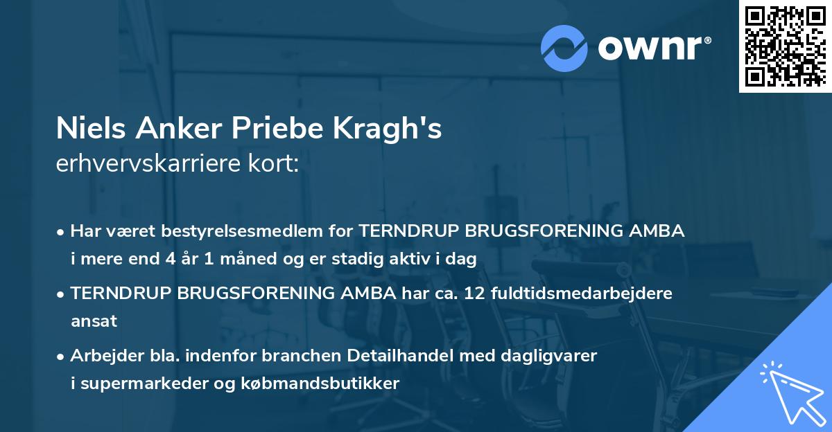 Niels Anker Priebe Kragh's erhvervskarriere kort