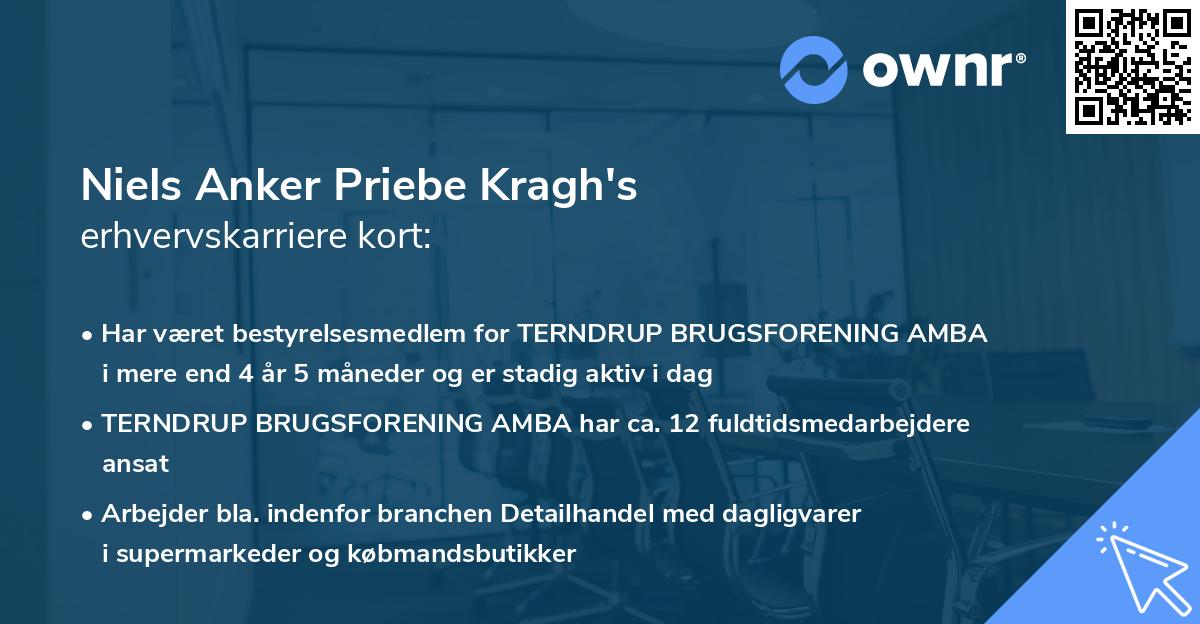 Niels Anker Priebe Kragh's erhvervskarriere kort