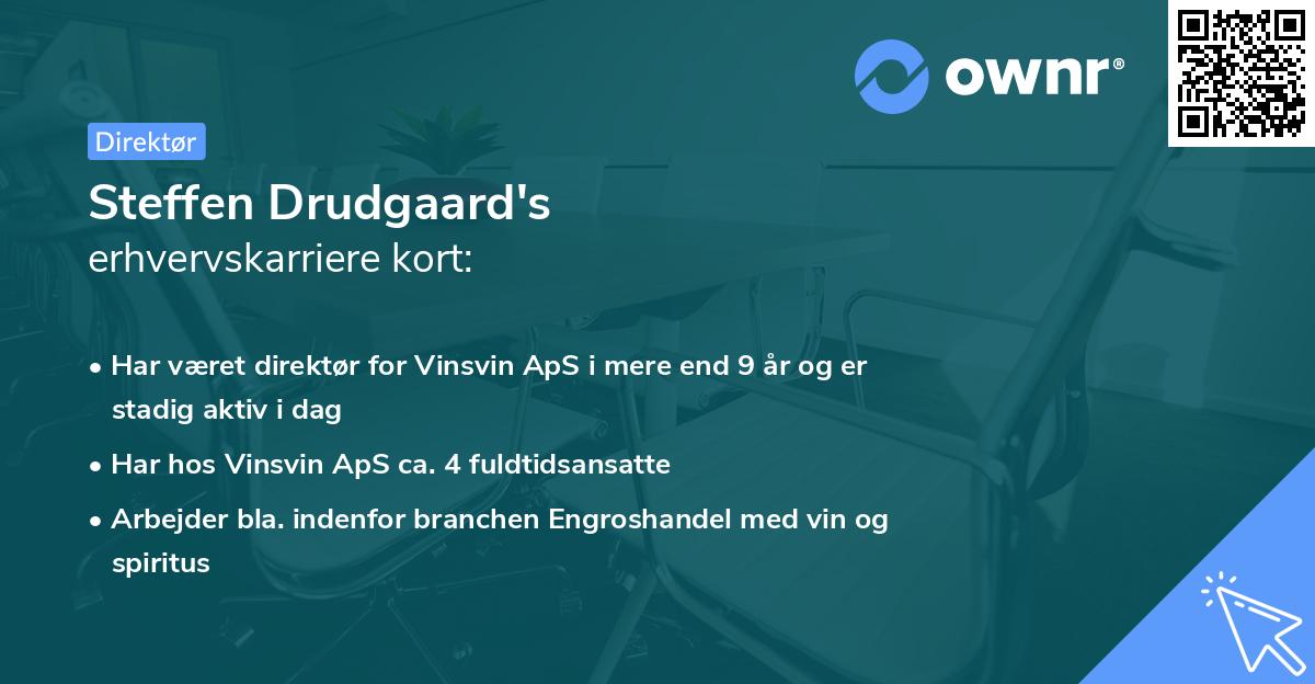 Steffen Drudgaard's erhvervskarriere kort