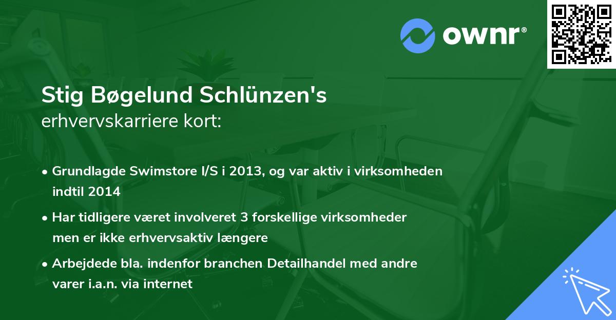 Stig Bøgelund Schlünzen's erhvervskarriere kort