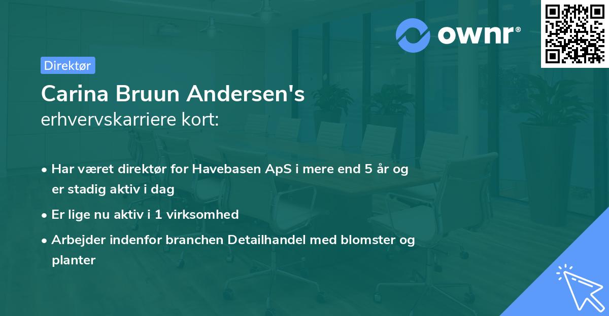 Carina Bruun Andersen's erhvervskarriere kort