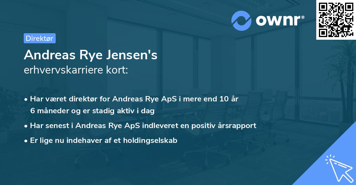 Andreas Rye Jensen's erhvervskarriere kort