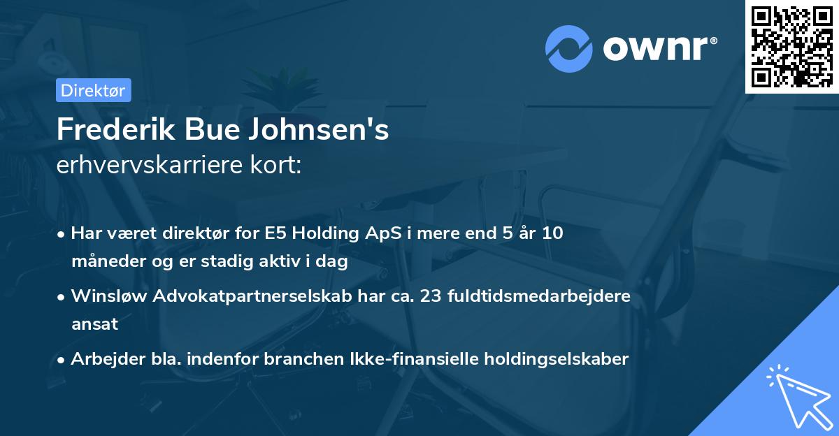 Frederik Bue Johnsen's erhvervskarriere kort