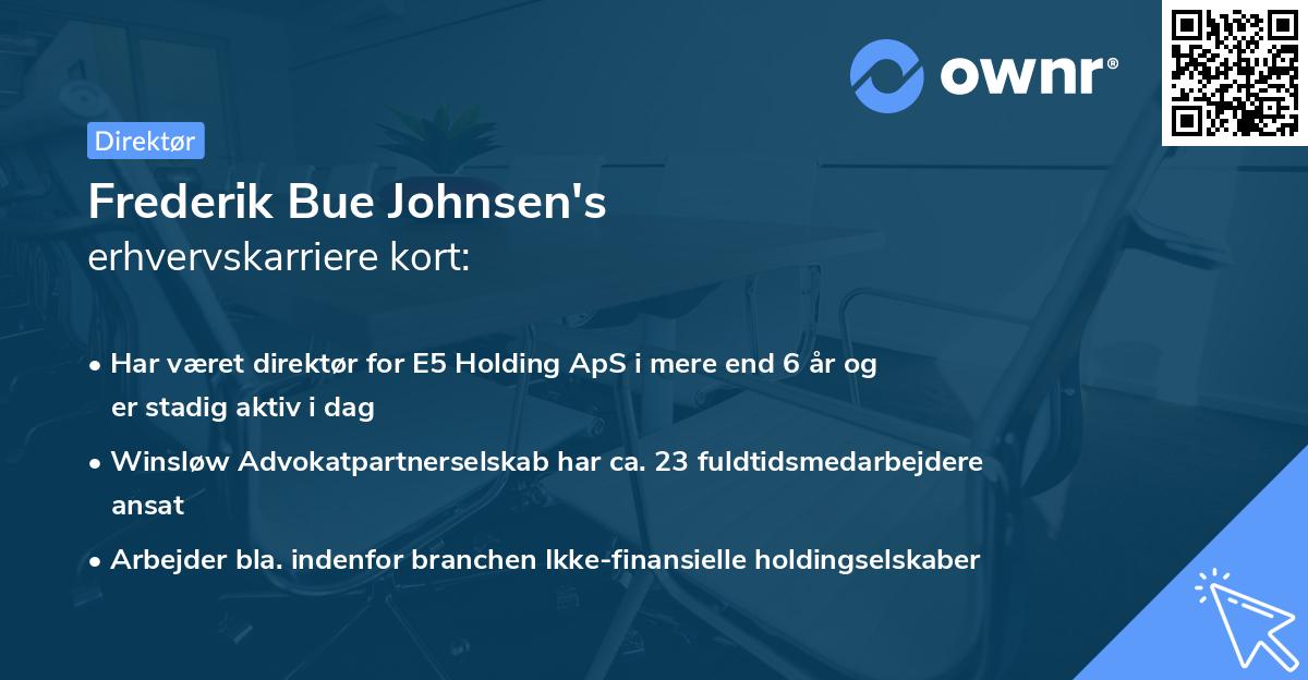 Frederik Bue Johnsen's erhvervskarriere kort