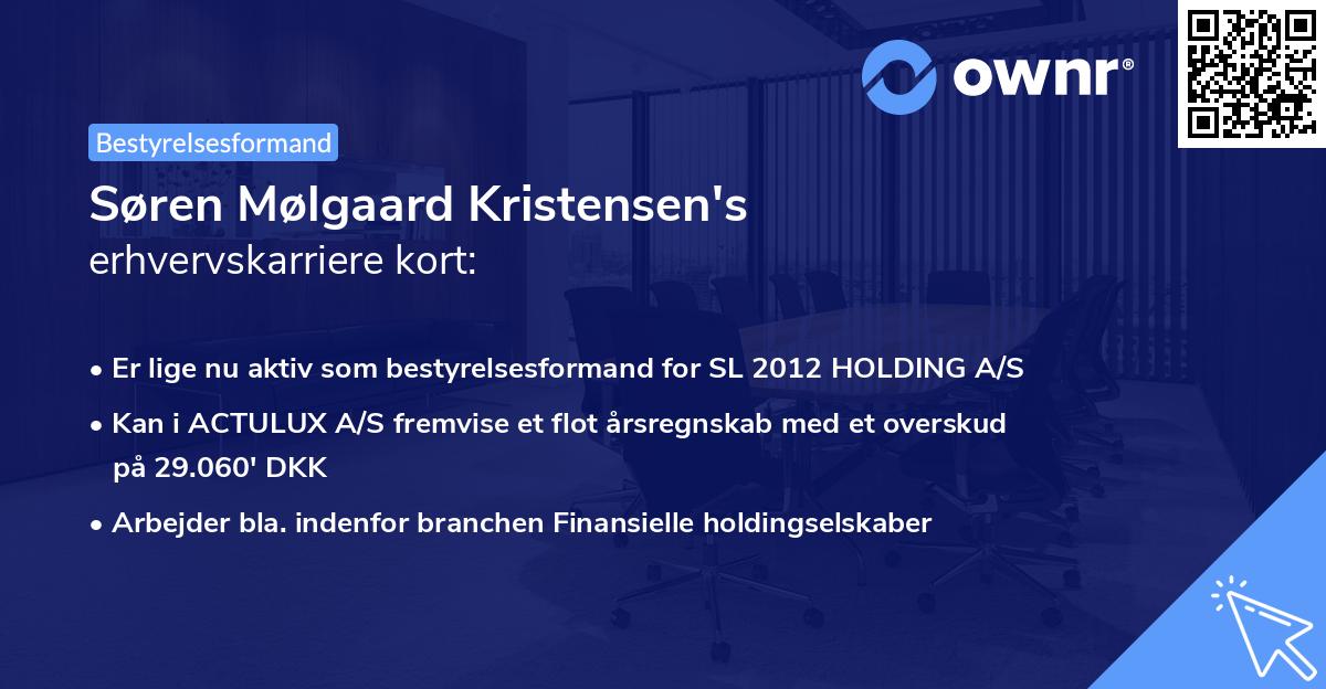 Søren Mølgaard Kristensen's erhvervskarriere kort