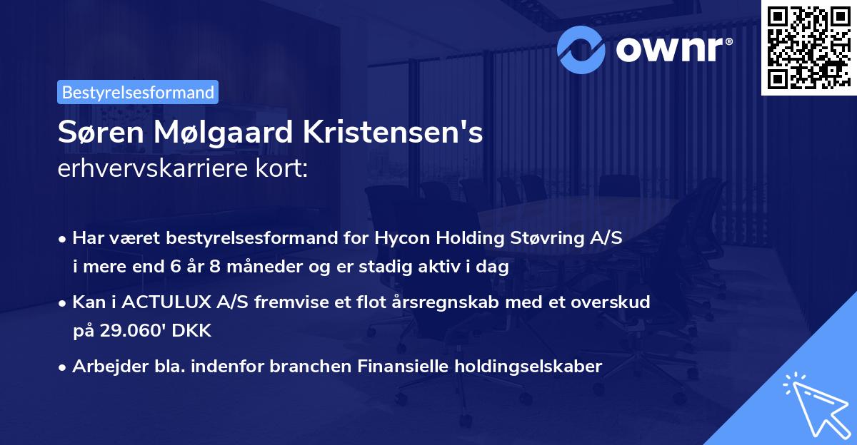 Søren Mølgaard Kristensen's erhvervskarriere kort